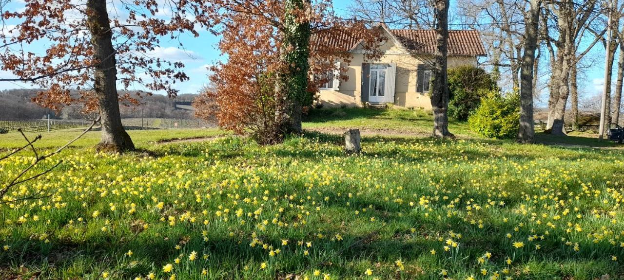 Moulin De Bigorre Villa Saint-Genès-de-Castillon Екстериор снимка