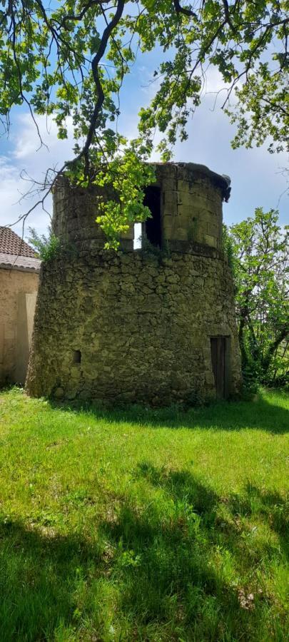 Moulin De Bigorre Villa Saint-Genès-de-Castillon Екстериор снимка