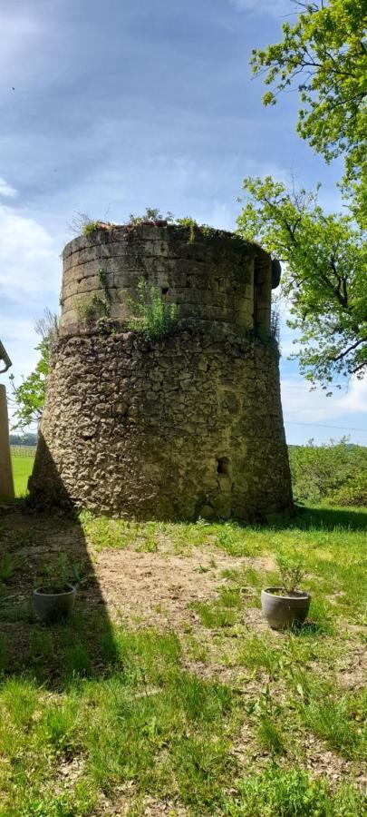 Moulin De Bigorre Villa Saint-Genès-de-Castillon Екстериор снимка